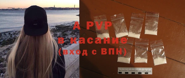 сатива Беломорск