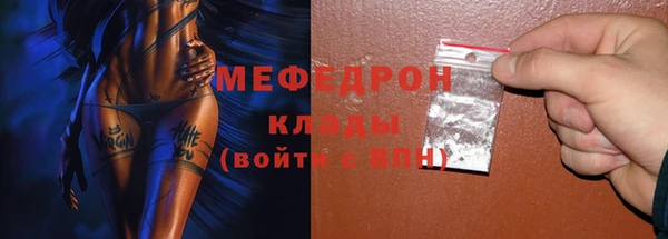 сатива Беломорск