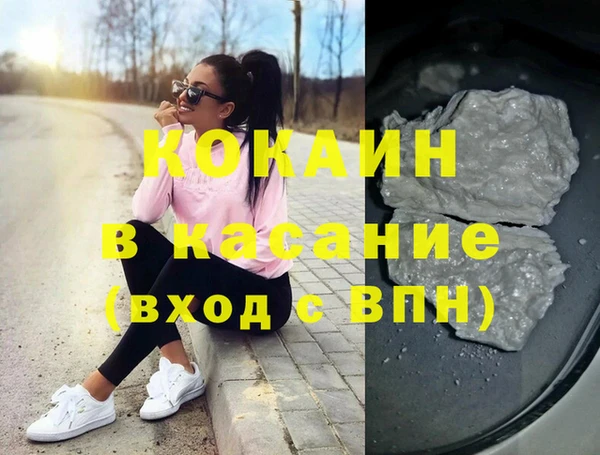 сатива Беломорск