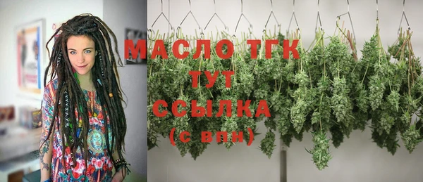 сатива Беломорск
