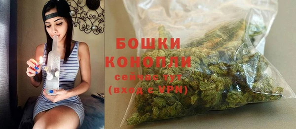 ALPHA PVP Белокуриха
