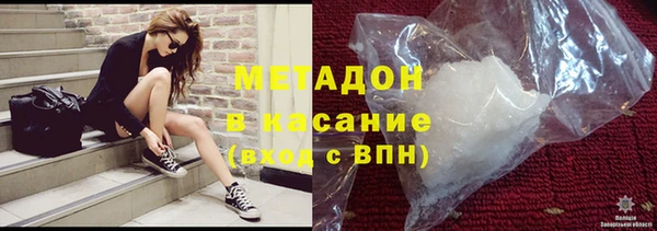 сатива Беломорск