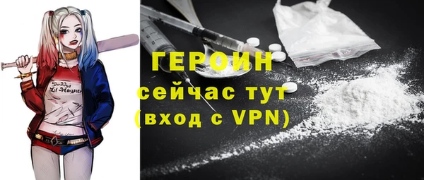 сатива Беломорск